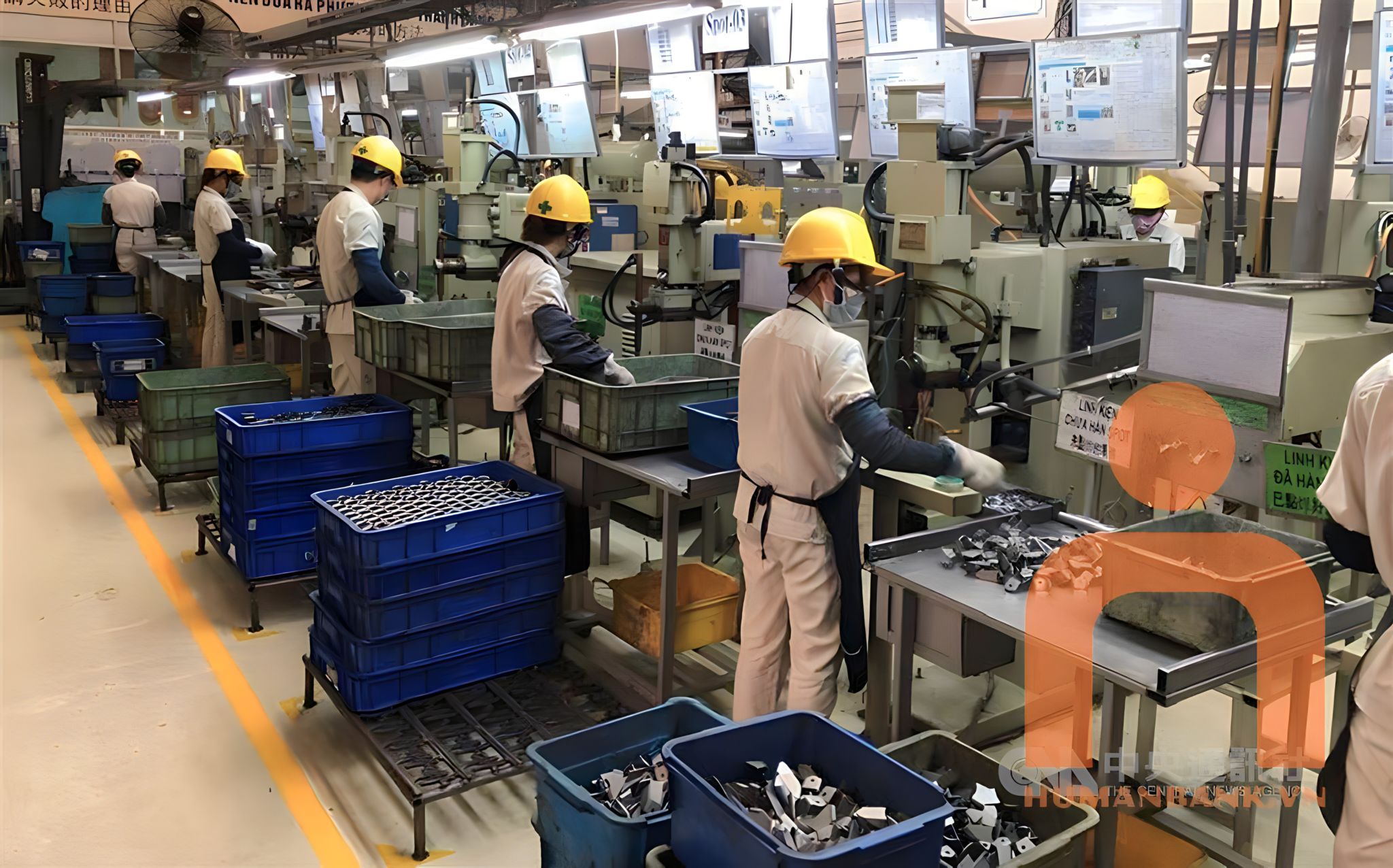 Công ty HH dụng cụ kéo cắt Hiệp Xương tuyển 1 nam