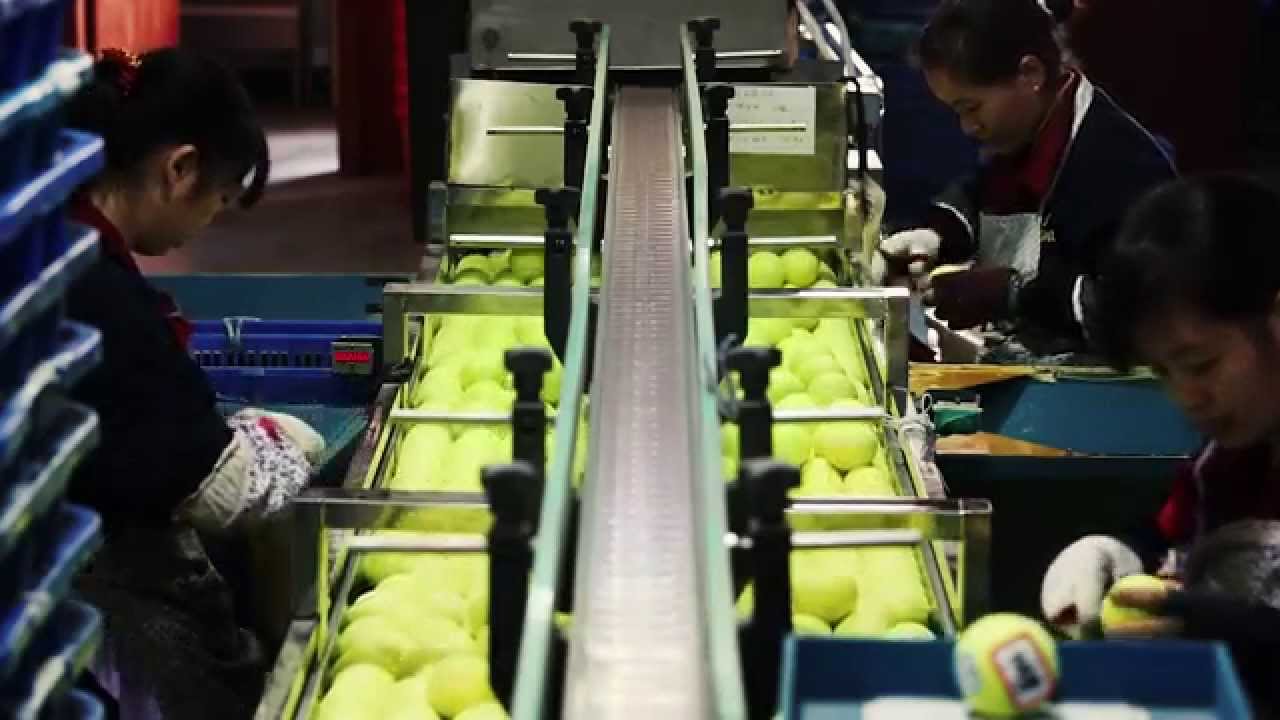 Đơn hàng thao tác máy, kiểm tra, đóng gói sản phẩm tại TP Đài Trung