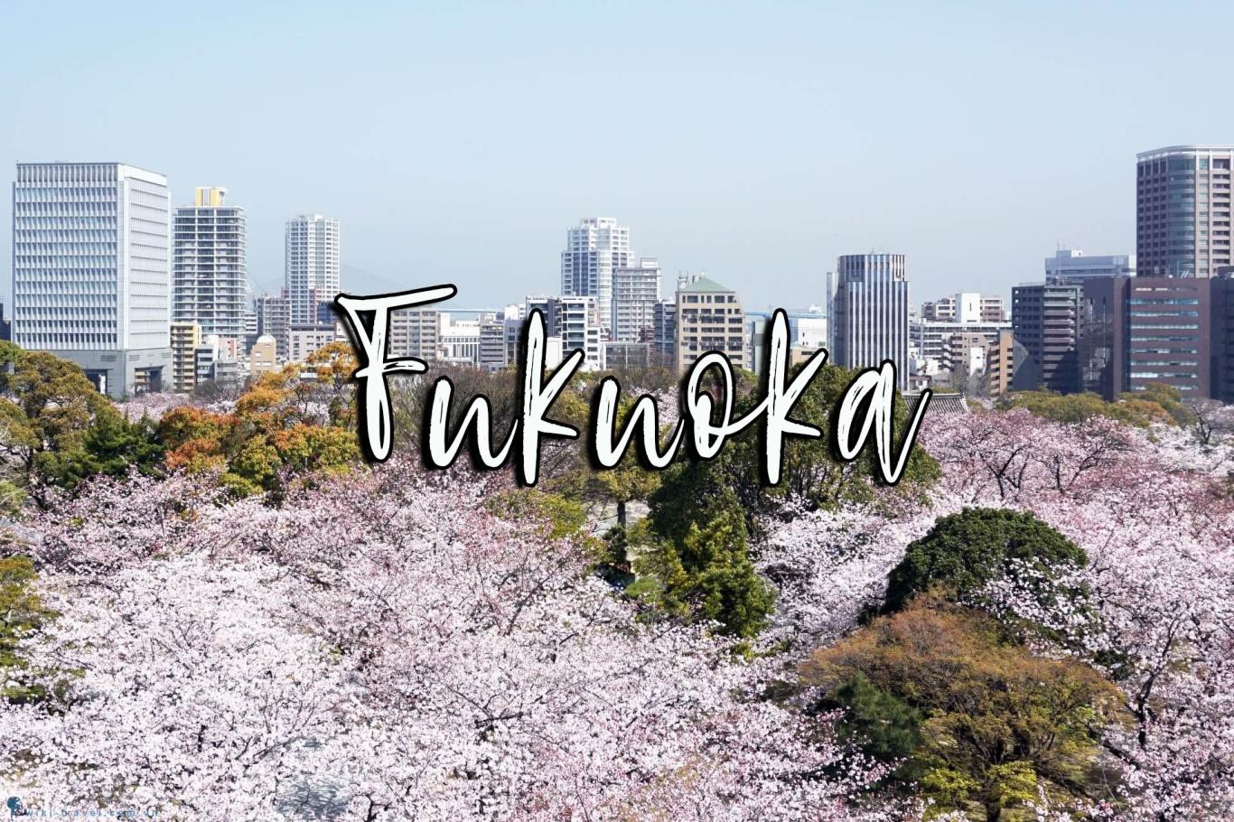 Vài nét về vị trí, kinh tế, giao thông tỉnh Fukuoka Nhật Bản